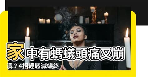 家中有螞蟻如何處理|家裡螞蟻多到殺不完怎麼辦？居家達人教4招滅蟻方法…